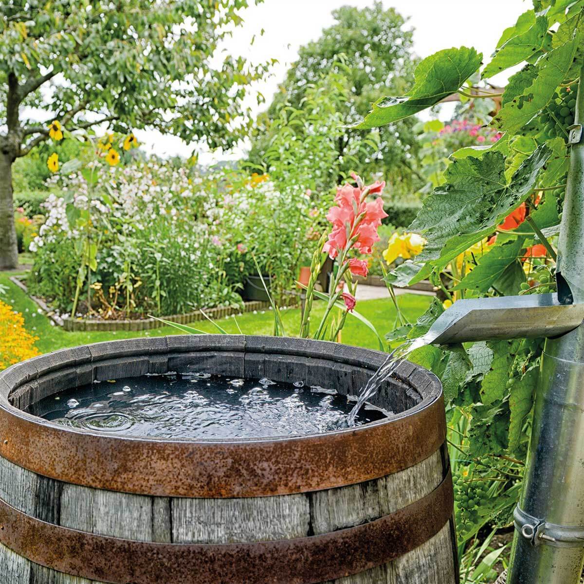 Hidrolavadora inalámbrica 18 V + batería (4.0 ah) + cargador marca Einhell - Image 10